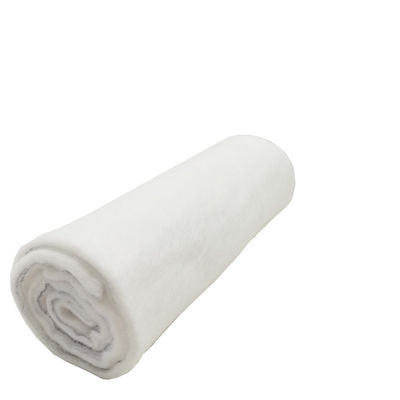 BV Certified Ground Cover Fabrics In Roll для контроля эрозии и стабилизации почвы