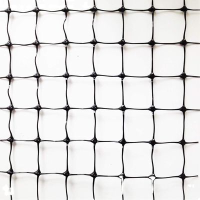 1.5cm Mesh 50gsm PP Garden Extruded UV Blocked Plastic Agriculture Anti Mole Net Roll Противомолевая сетка для сельскохозяйственных целей