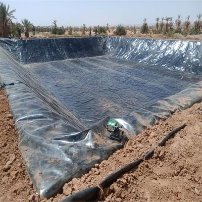 Рабочая группа по созданию геомембраны из HDPE с грубой поверхностью, продувание пленки 1,0 мм для водонепроницаемой облицовки дамбы
