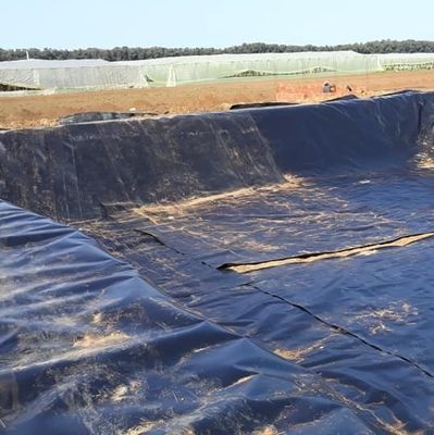 Долговечная геомембрана из HDPE для облицовки прудов в азиатском стиле в других регионах