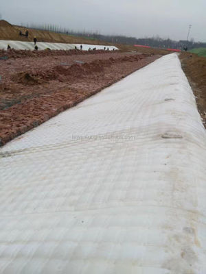 BV Certified Ground Cover Fabrics In Roll для контроля эрозии и стабилизации почвы