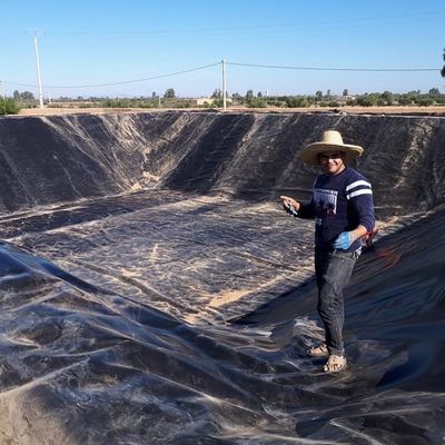 1 мм пластмассовая геомембрана из HDPE для традиционного дизайна в круглой резервуаре для рыб