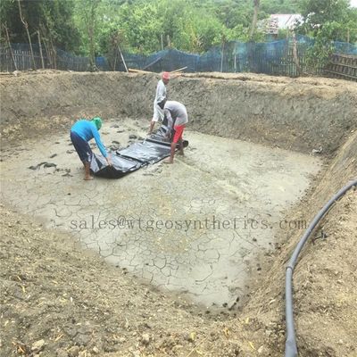 Гладкая текстурированная поверхность 1,5 мм Геомембрана из HDPE для водонепроницаемой пластмассовой плотины 1,0 мм