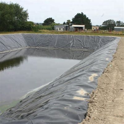 0.2 мм HDPE геомембрана водонепроницаемая брезентная облицовка для биофлоковых рыбоводческих водоемов