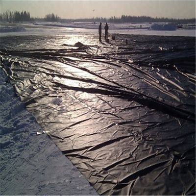 Современный дизайн стиль Индия изготовленная HDPE геомембрана 1 мм для рыбного пруда линера