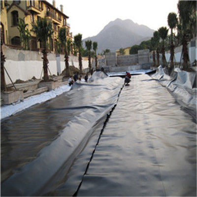 Современный дизайн стиль Индия изготовленная HDPE геомембрана 1 мм для рыбного пруда линера
