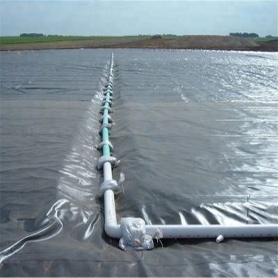 Современный дизайн стиль Индия изготовленная HDPE геомембрана 1 мм для рыбного пруда линера