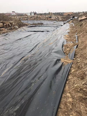 Геомембраны для рыбных резервуаров 2 мм Черный водонепроницаемый HDPE пластик Установка на месте