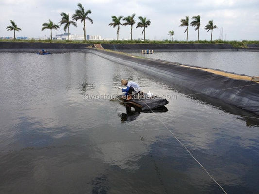 Геомембраны для рыбных резервуаров 2 мм Черный водонепроницаемый HDPE пластик Установка на месте