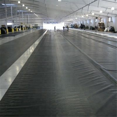 1 мм 1,2 мм 1,5 мм HDPE геомембрана для дамбы или искусственного озера Черный Зеленый Синий Белый