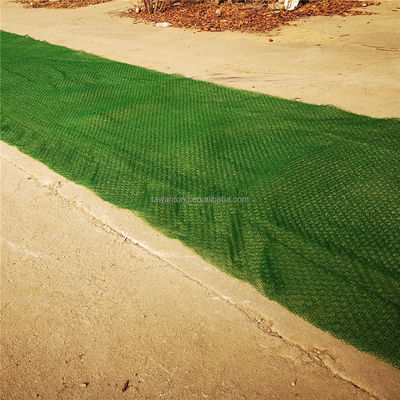 2м HDPE Geomat для защиты склонов и контроля эрозии травы Выбор покупателя B2B