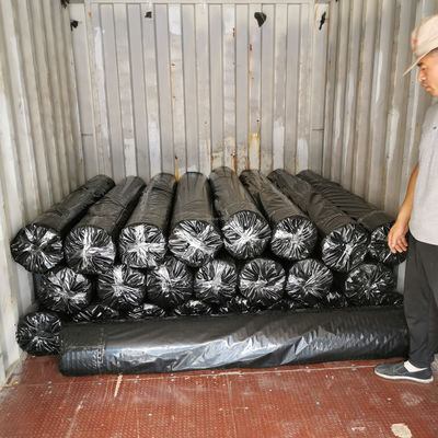 50-50kn Полиэстер Geogrid/ PET Geogrid для укрепления берегов рек Применение дорожного полотна