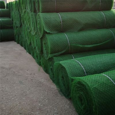 HDPE PP Em3 3D Geomat Идеальное решение для индивидуальной защиты и контроля склонов