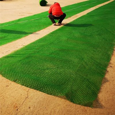 HDPE PP Em3 3D Geomat Идеальное решение для индивидуальной защиты и контроля склонов