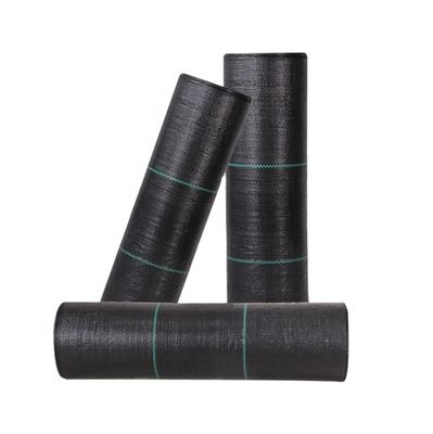 PP высокая прочность на протяжение 70GSM-400GSM Geotextile ткань для борьбы с сорняками в саду черники