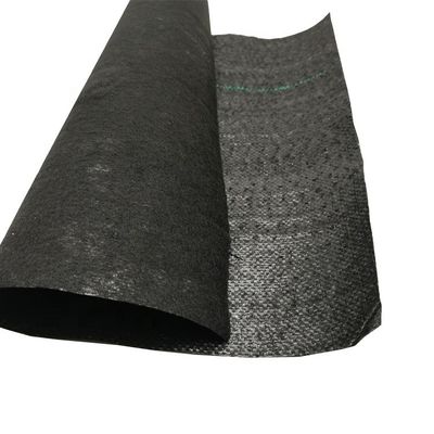 PP высокая прочность на протяжение 70GSM-400GSM Geotextile ткань для борьбы с сорняками в саду черники