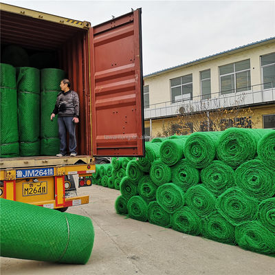 CE/ISO9001/ISO14001 Сертифицированный HDPE 3D Geomat для трехмерной пластиковой сетки травы