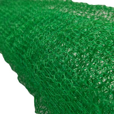 Современный дизайн 2 м Ширина Контроль эрозии Geonet/Geomat с 3D вегетативным покрытием