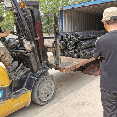 100 м/ролл ПЭТ Warp Geogrid для строительства поддерживающих стен