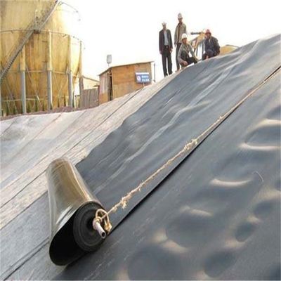 Геомембраны для HDPE ПВХ 0,75 мм плотины пруда и китайского дизайна стиль свалки