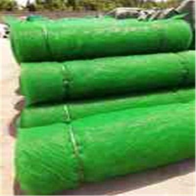 HDPE PP Контроль эрозии 3D вегетативный покров Geomat травяная дорожка для защиты склонов