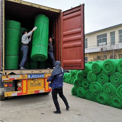 Китайский дизайн 3D HDPE Geomat Erosion Control Mat для защиты склонов Em2 Em3 Em4 Em5