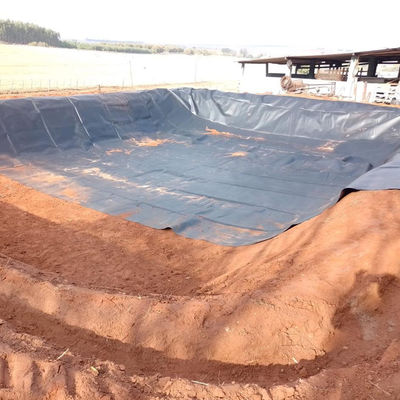 Шаньдунская геомембрана HDPE 0,5 мм для пруда линера рыбных ферм фунта бассейна свалка