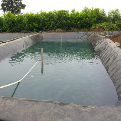 GB/ASTM GRI-GM13 Стандартная геомембранная подкладка из HDPE для водонепроницаемого материала рыбоводства
