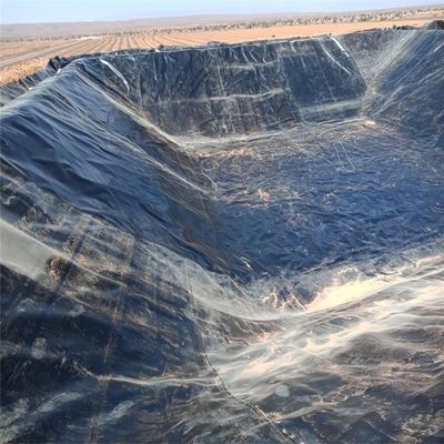 Китайский дизайн стиль водоемы Пластиковый полиэтиленовый геомембранный подкладка для рыбного пруда