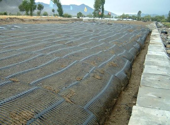 PP/HDPE одноосевая пластмассовая георешетка для высокопрочной поддерживающей стены CE/ISO9001