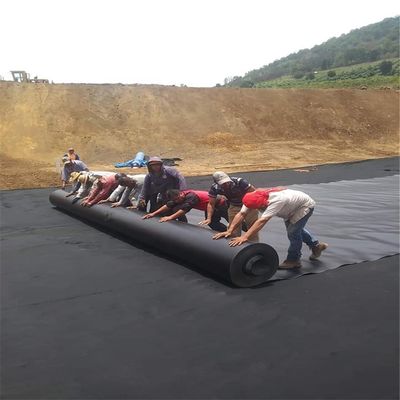 Специализированная ширина 0,75 мм HDPE Geomembrane Film Fish Pond Liner для выращивания креветок