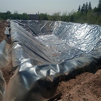 Специализированная ширина 0,75 мм HDPE Geomembrane Film Fish Pond Liner для выращивания креветок