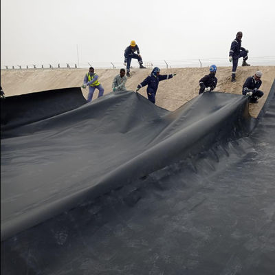 1 мм 0,5 мм 1,5 мм 2 мм Hdpe геомембрана для пластиковых рыб креветки пруда линера дизайн стиль