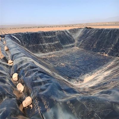 Китайский дизайн стиль 2 мм HDPE геомембраны для полигонов линера дамбы линера на конкурентной