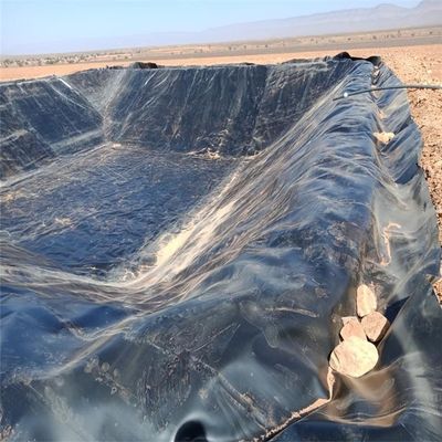 Китайский дизайн стиль 2 мм HDPE геомембраны для полигонов линера дамбы линера на конкурентной