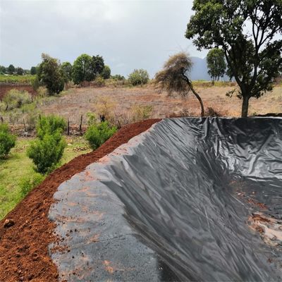 Геомембрана в стиле китайского дизайна из HDPE для аквакультуры