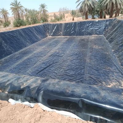 Черный HDPE Geomembrane Liner 1 мм для сельскохозяйственных прудов водонепроницаемый 0,5 мм 0,75 мм 1,5 мм