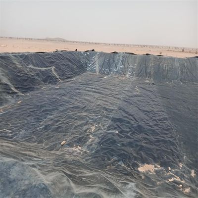 Черный HDPE Geomembrane Liner 1 мм для сельскохозяйственных прудов водонепроницаемый 0,5 мм 0,75 мм 1,5 мм