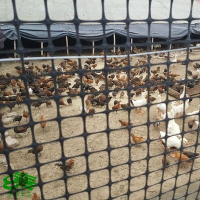 Пластиковая сетка полипропилена Биаксиальная геосетка для стабилизатора дорожного грунта Ширина 1-6 м Длина 50-100 м