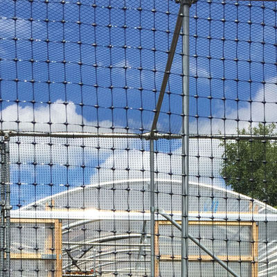 PP Биаксиальная геосеть 40kn для укрепления дорог Элитная продажа Черная тренировка Дорожная геосеть