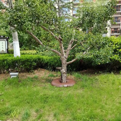 15 галлонов ПВХ деревья поливный мешок портативный и прочный для медленного высвобождения капельного орошения