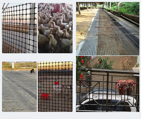 Дорожное строительство Essential 50kn/M PP Bi-Axial Geogrid с сертификацией CE/ISO9001